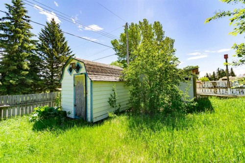 5107 52 Street, Mirror, AB 