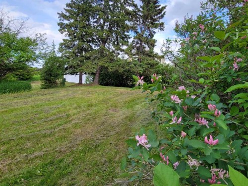 5205 52 Avenue, Castor, AB 