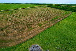 Highway 780 Rural Wetaskiwin No. 10, County Of, AB T0C 1X0