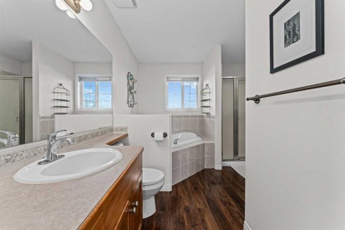 199 Adams Close, Red Deer, AB - Indoor Photo Showing Bathroom