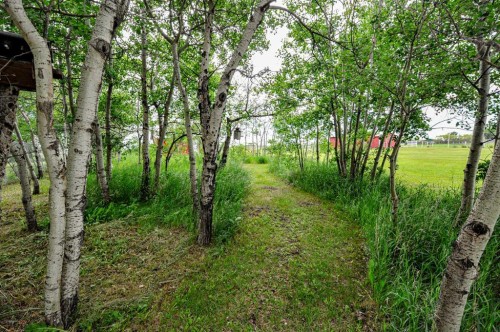 46479 Range Road 183, Rural Camrose County, AB - Outdoor