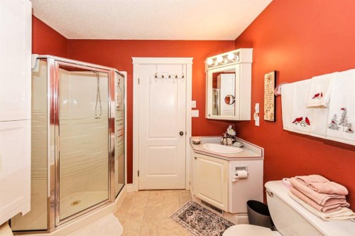 4608 50 Street, Forestburg, AB - Indoor Photo Showing Bathroom
