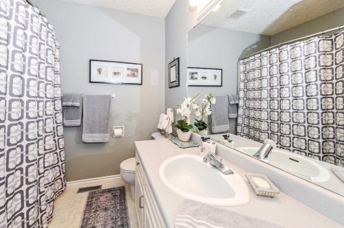 4608 50 Street, Forestburg, AB - Indoor Photo Showing Bathroom