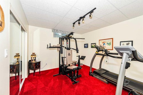 4608 50 Street, Forestburg, AB - Indoor Photo Showing Gym Room
