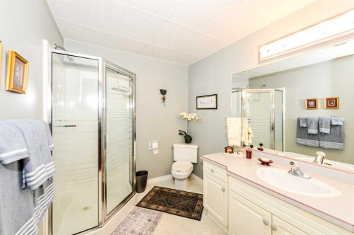4608 50 Street, Forestburg, AB - Indoor Photo Showing Bathroom