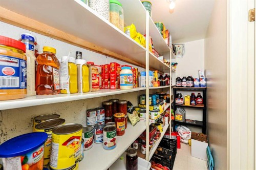 4608 50 Street, Forestburg, AB - Indoor With Storage