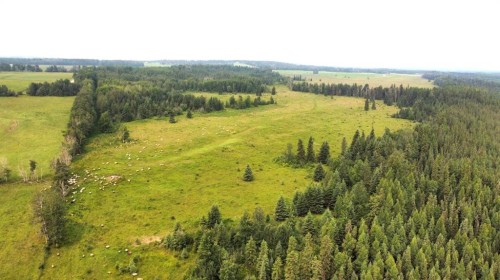 Range Road 43 Twp Rd 360, Caroline, AB 