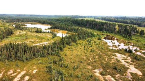 Range Road 43 Twp Rd 360, Caroline, AB 