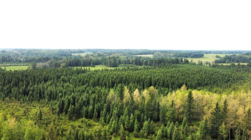 Range Road 43 Twp Rd 360, Caroline, AB 