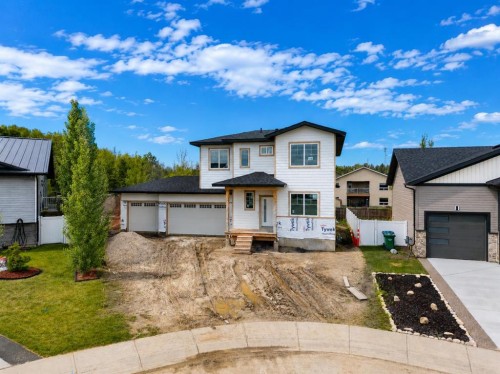 14 Napoleon Meadows Way, Innisfail, AB 
