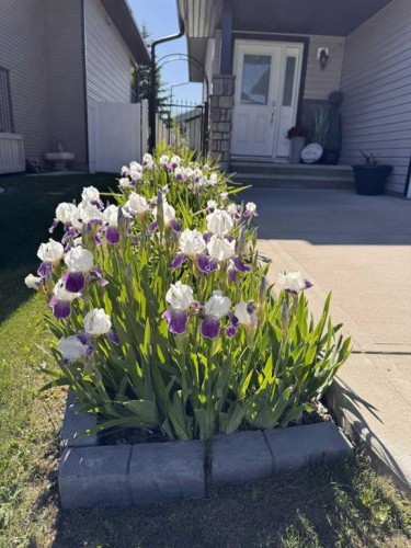 135 Stephenson Crescent, Red Deer, AB 