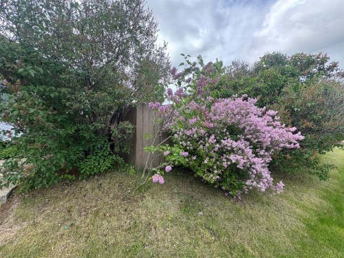 4203 106 Avenue, Edmonton, AB 