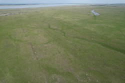On Range Road 154 Rural Stettler No. 6, County Of, AB T0J 1G0