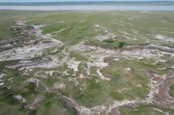 SE 4 36 15 W4 Rural Stettler No. 6, County Of, AB T0J 1G0