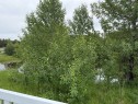 331 Elizabeth Avenue, Nordegg, AB 