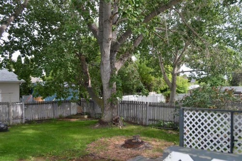 5259 51 Street, Lacombe, AB 
