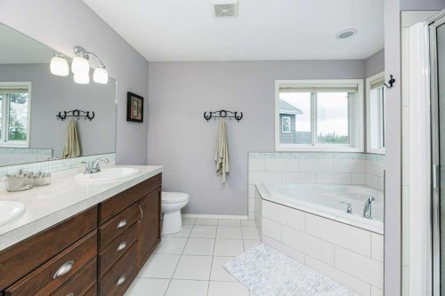 9 Henner'S Outlook, Lacombe, AB - Indoor Photo Showing Bathroom