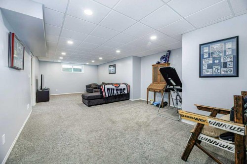 9 Henner'S Outlook, Lacombe, AB - Indoor Photo Showing Basement