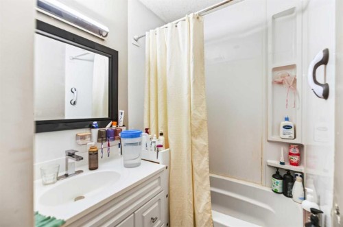 39310 Range Road 250, Rural Lacombe County, AB - Indoor Photo Showing Bathroom