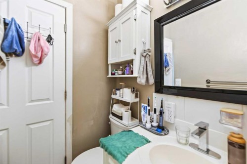 39310 Range Road 250, Rural Lacombe County, AB - Indoor Photo Showing Bathroom