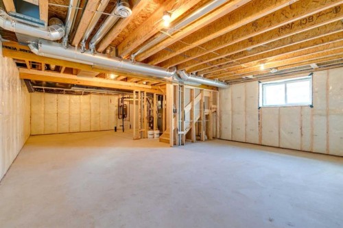 64 Creekstone Manor Sw, Calgary, AB - Indoor Photo Showing Basement