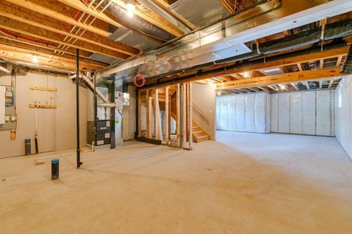 64 Creekstone Manor Sw, Calgary, AB - Indoor Photo Showing Basement