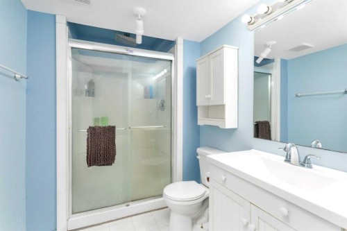 41421 Range Road 261, Rural Lacombe County, AB - Indoor Photo Showing Bathroom