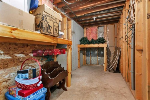 41421 Range Road 261, Rural Lacombe County, AB - Indoor Photo Showing Basement