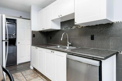 27-11 Stanton Street, Red Deer, AB - Indoor Photo Showing Kitchen With Double Sink