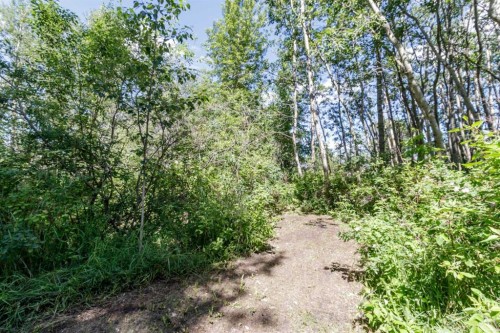 393320 261 Range, Rural Lacombe County, AB - Outdoor