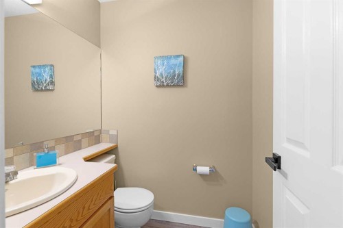 44 Lakes Close, Lacombe, AB - Indoor Photo Showing Bathroom