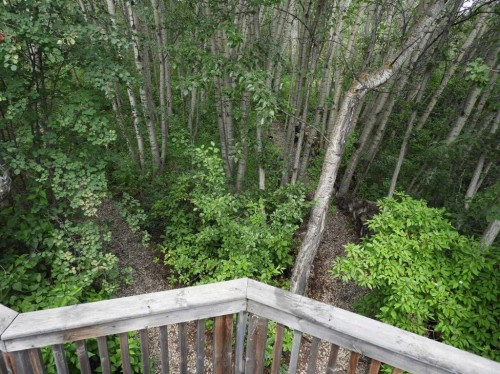 39320-261 Range Road, Rural Lacombe County, AB - Outdoor