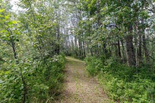 39320-261 Range Road, Rural Lacombe County, AB - Outdoor