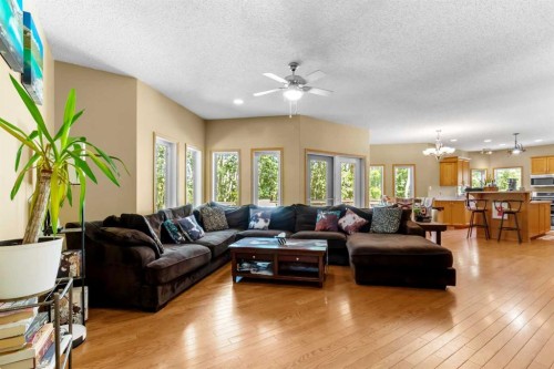 39320-261 Range Road, Rural Lacombe County, AB - Indoor Photo Showing Living Room