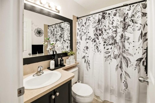 1205-5220 50A Avenue, Sylvan Lake, AB - Indoor Photo Showing Bathroom