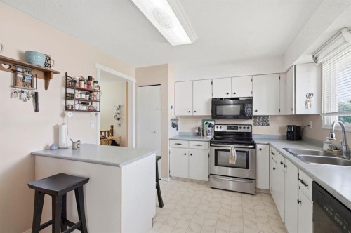 4420 57 Avenue, Innisfail, AB - Indoor Photo Showing Kitchen With Double Sink