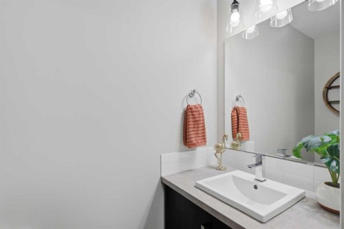 303-30 Carleton Avenue, Red Deer, AB - Indoor Photo Showing Bathroom