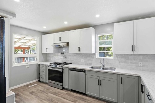 4132 50 Avenue, Innisfail, AB - Indoor Photo Showing Kitchen With Stainless Steel Kitchen With Double Sink With Upgraded Kitchen