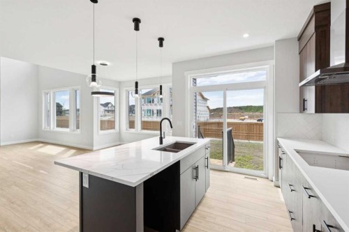 102 Bridgeport Landing, Chestermere, AB - Indoor Photo Showing Kitchen With Double Sink With Upgraded Kitchen