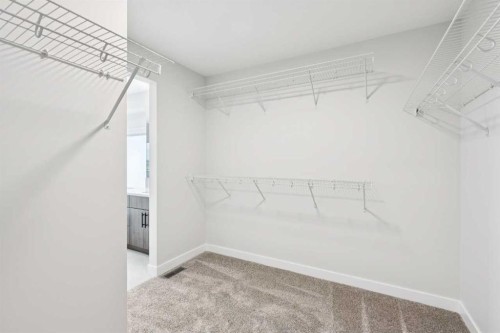 102 Bridgeport Landing, Chestermere, AB - Indoor With Storage