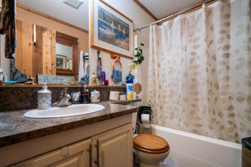 310 Beaver Street, Ferintosh, AB - Indoor Photo Showing Bathroom