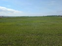 237 North, Trochu, AB 