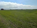 237 North, Trochu, AB 