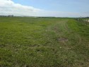 237 North, Trochu, AB 