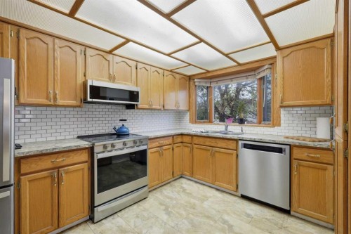 6124 Hamilton Drive, Red Deer, AB - Indoor Photo Showing Kitchen With Stainless Steel Kitchen With Double Sink