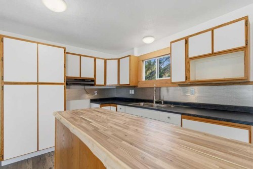 4719 46 Avenue, Sylvan Lake, AB - Indoor Photo Showing Kitchen With Double Sink