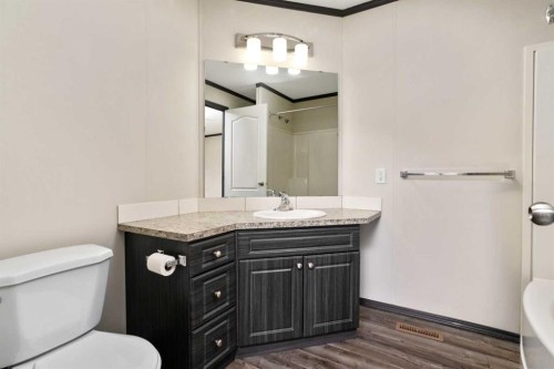 48040 Range 212 Road, Rural Camrose County, AB - Indoor Photo Showing Bathroom