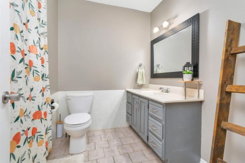 5215 52 Avenue, Eckville, AB - Indoor Photo Showing Bathroom