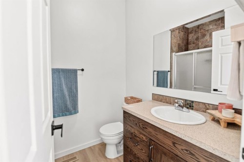 17 Alderwood Close, Blackfalds, AB - Indoor Photo Showing Bathroom