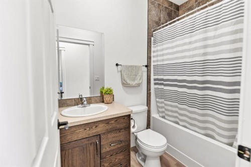 17 Alderwood Close, Blackfalds, AB - Indoor Photo Showing Bathroom